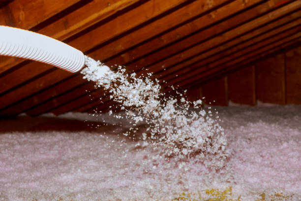 Trusted Moulton, AL Insulation Contractor Experts