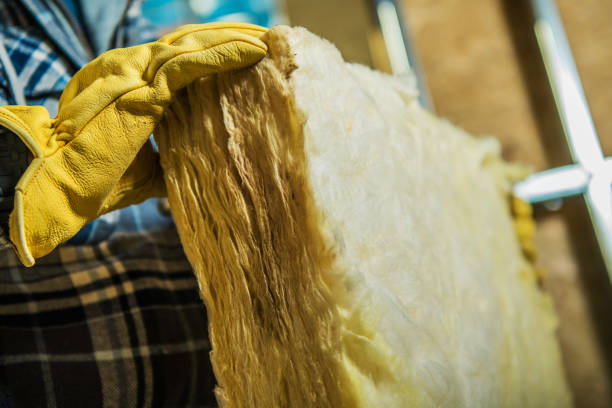 Best Spray Foam Insulation in Moulton, AL